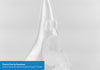 PrimaCreator™ EasyPrint FLEX 95A Filament - 1.75mm - 500g - Transparent